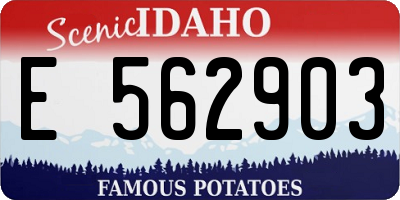 ID license plate E562903