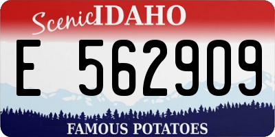 ID license plate E562909