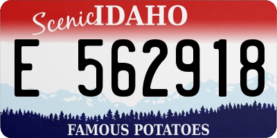 ID license plate E562918
