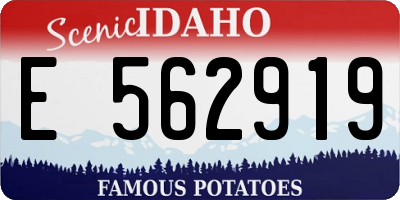 ID license plate E562919