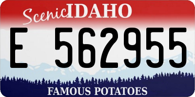 ID license plate E562955