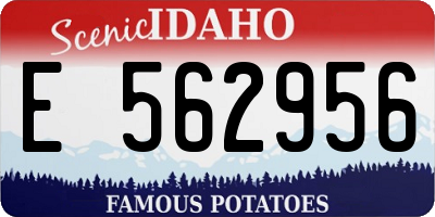 ID license plate E562956