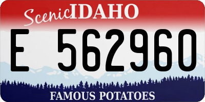 ID license plate E562960