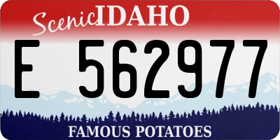 ID license plate E562977