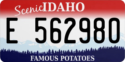 ID license plate E562980