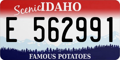 ID license plate E562991
