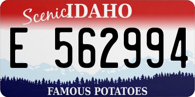 ID license plate E562994