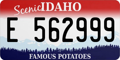 ID license plate E562999
