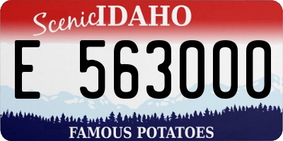 ID license plate E563000