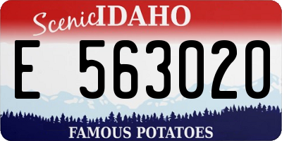 ID license plate E563020