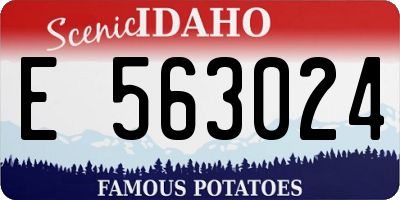 ID license plate E563024