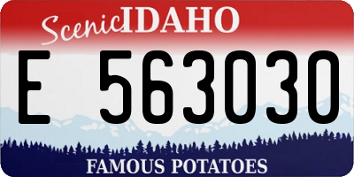 ID license plate E563030