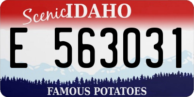 ID license plate E563031