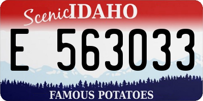 ID license plate E563033