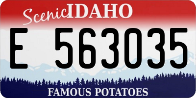 ID license plate E563035