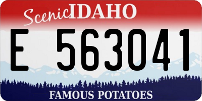 ID license plate E563041