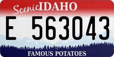ID license plate E563043