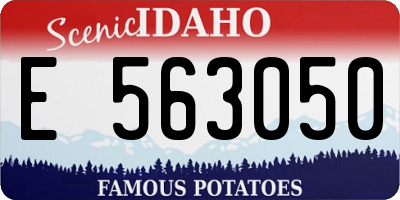 ID license plate E563050