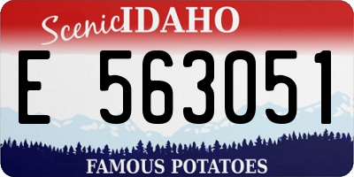ID license plate E563051