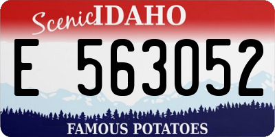 ID license plate E563052
