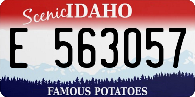 ID license plate E563057