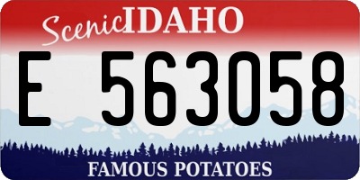 ID license plate E563058