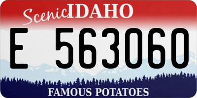 ID license plate E563060