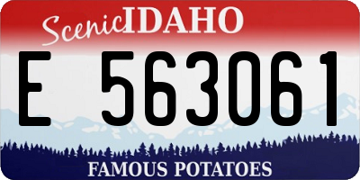ID license plate E563061