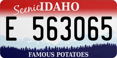 ID license plate E563065