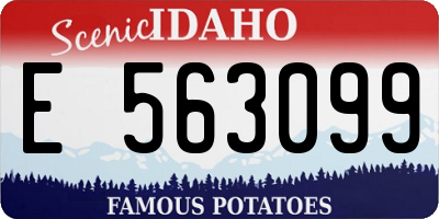 ID license plate E563099
