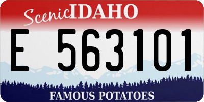 ID license plate E563101