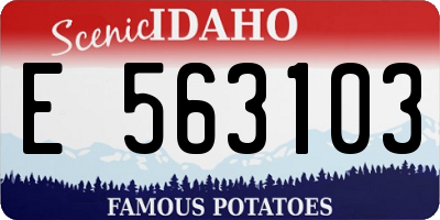 ID license plate E563103