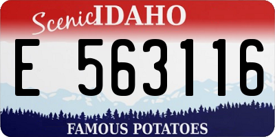ID license plate E563116