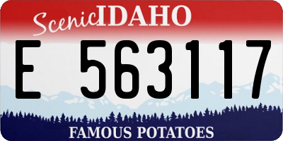 ID license plate E563117