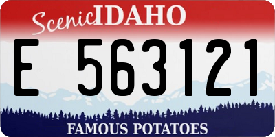 ID license plate E563121
