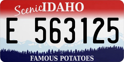 ID license plate E563125