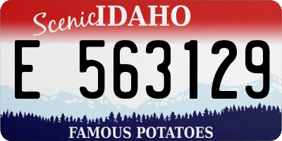 ID license plate E563129