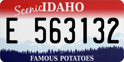 ID license plate E563132