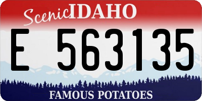 ID license plate E563135