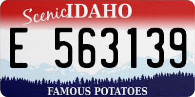 ID license plate E563139