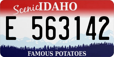 ID license plate E563142