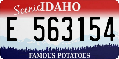 ID license plate E563154
