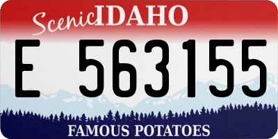ID license plate E563155