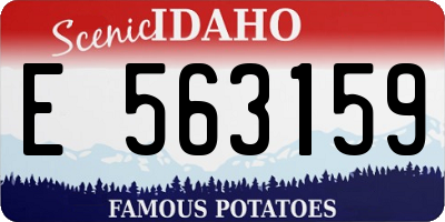 ID license plate E563159