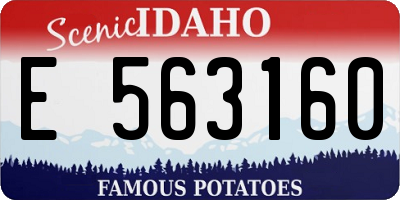 ID license plate E563160