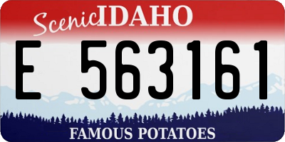 ID license plate E563161