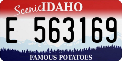 ID license plate E563169