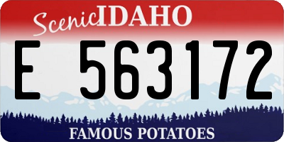 ID license plate E563172