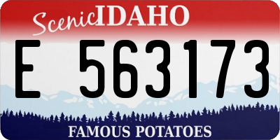 ID license plate E563173