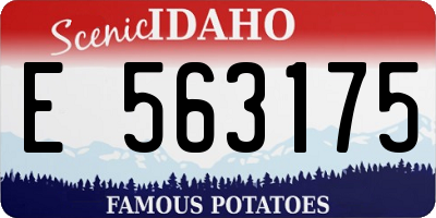 ID license plate E563175